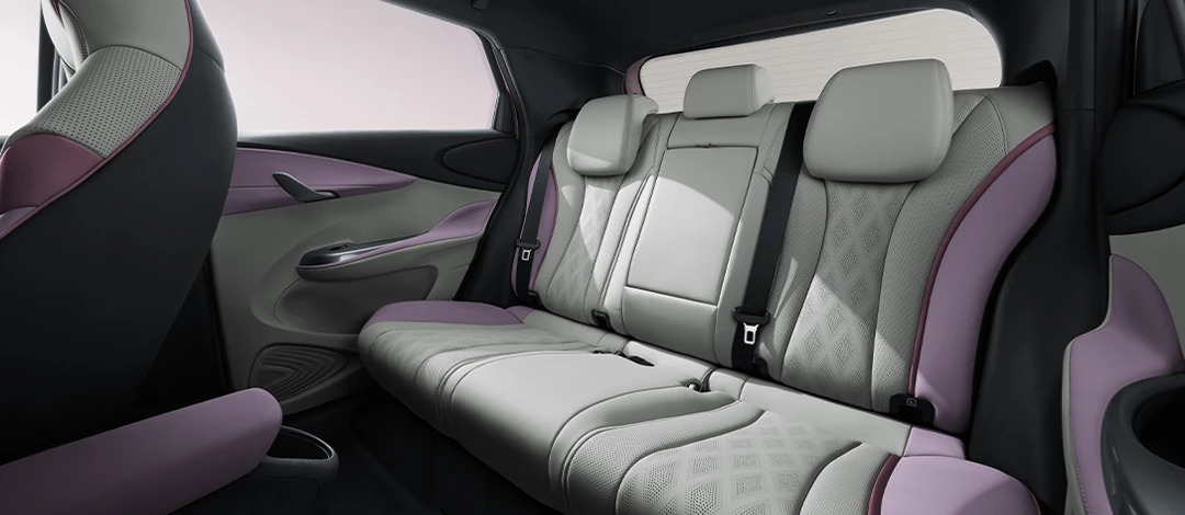 ADAS BYD Dolphin
